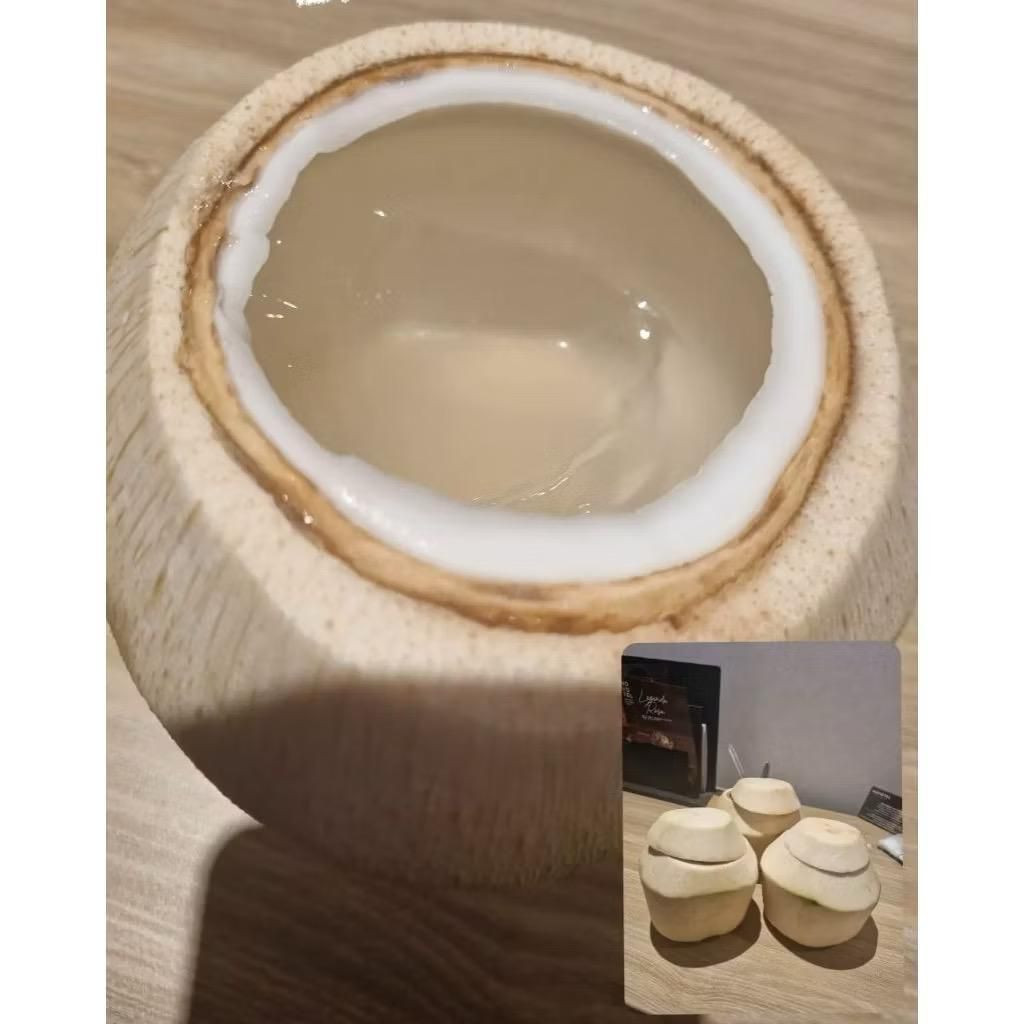 jelly coconut kelapa muda