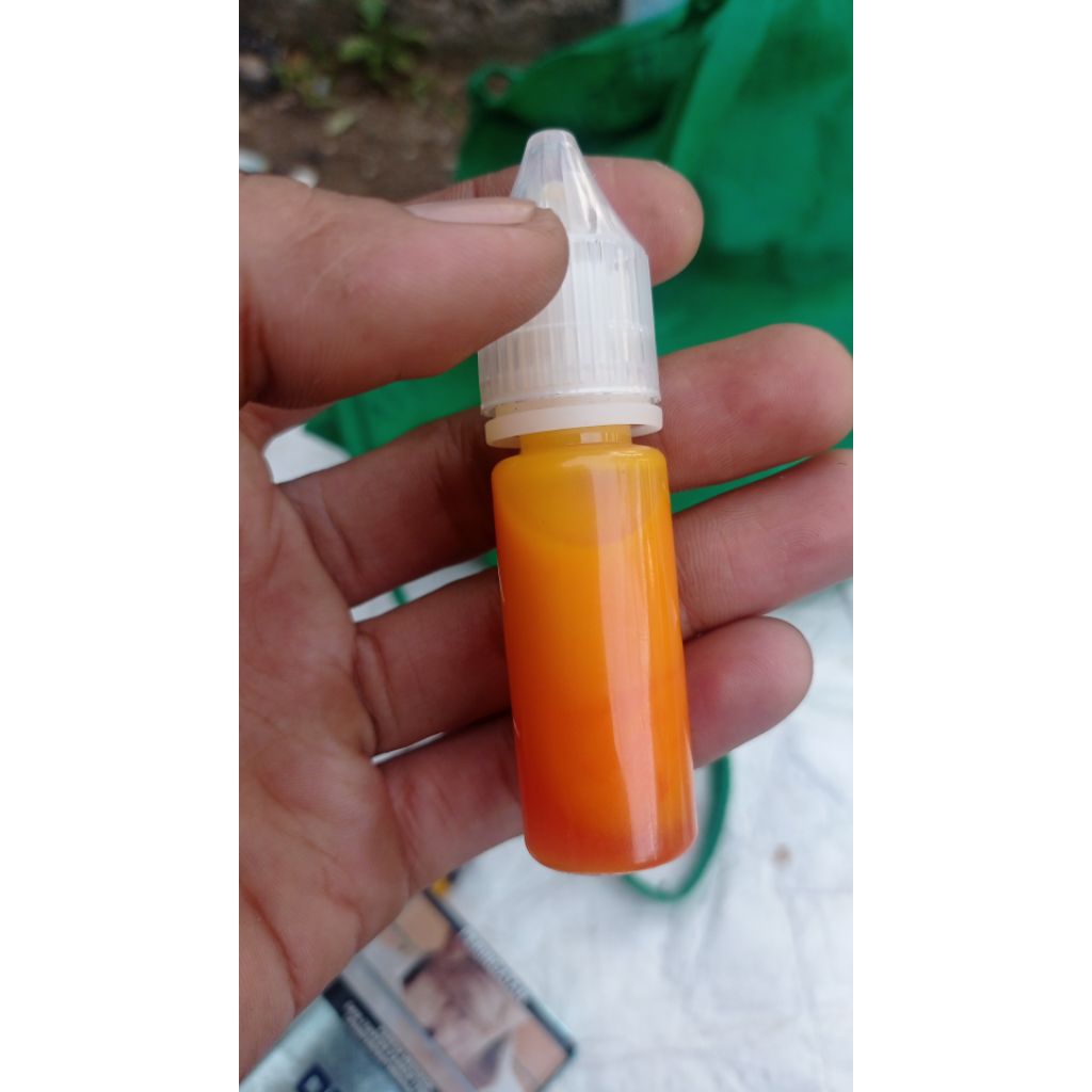 umpan pancing ikan mas umpan galapung ikan mas cap tunggu tubang paket umpan ikan mas pelet jitu / p