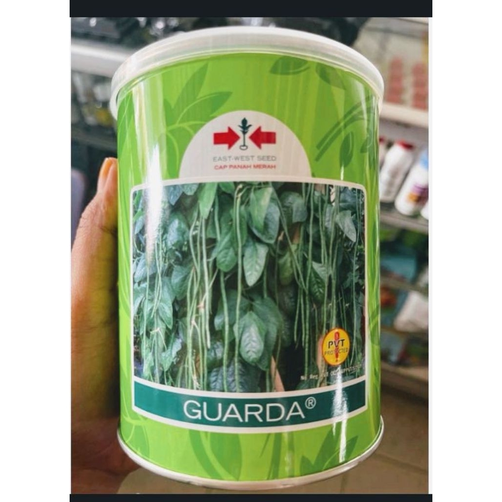 Bibit kacang panjang GUARDA cap PANAH MERAH