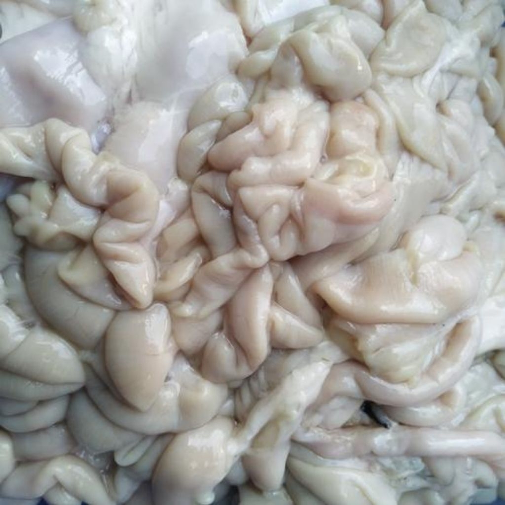 babat & perutan kambing berat 900-1000g