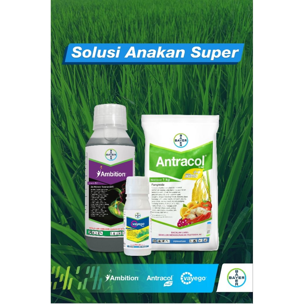 Paket Super Tani Ambition 500 ml Antracol 250gram Vayego 250 ml Bayer Pupuk Cair Penyubur Anakan Pad