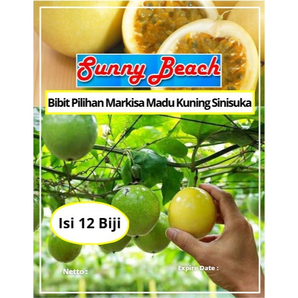 Bibit Pilihan Markisa Madu Kuning Sinisuka | Biji Benih Markisa Golden Kuning | Markisa Kuning