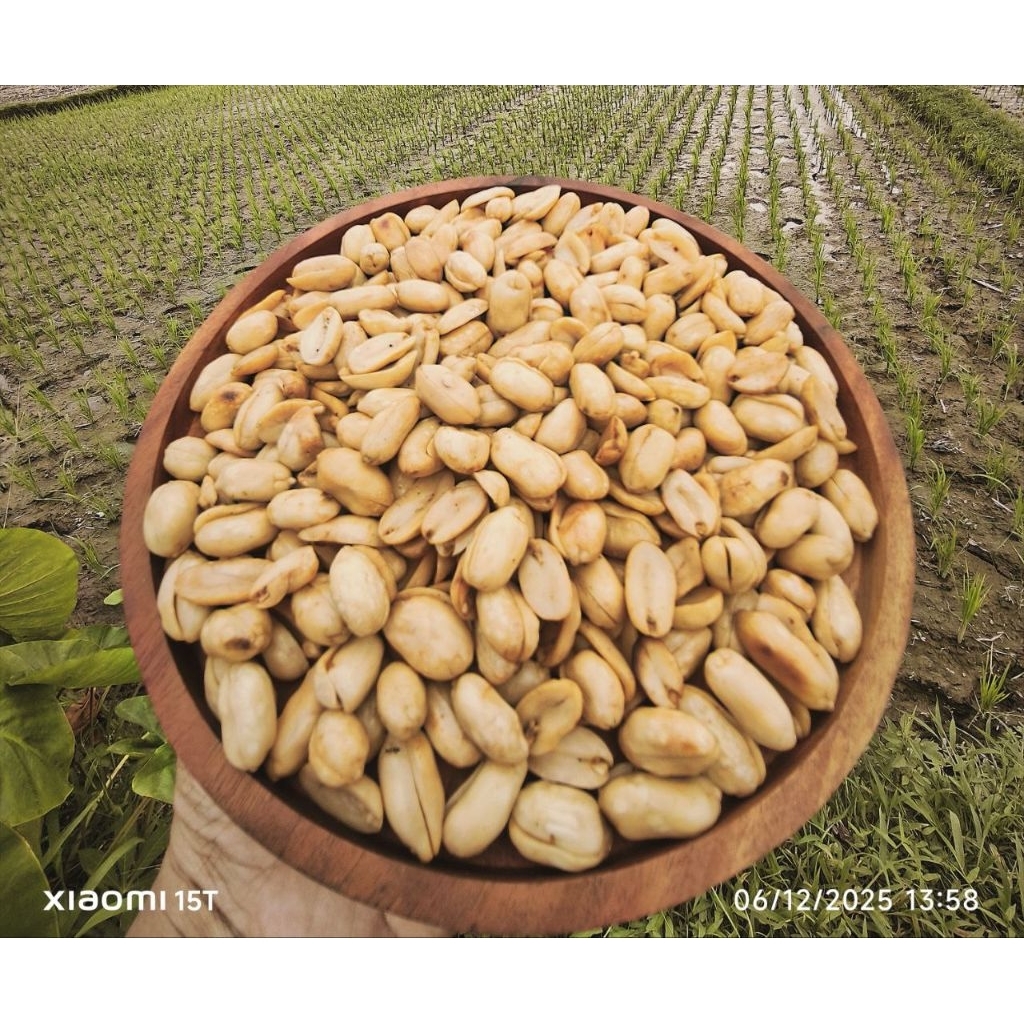 Kacang bawang rasa mete toples 250 gram
