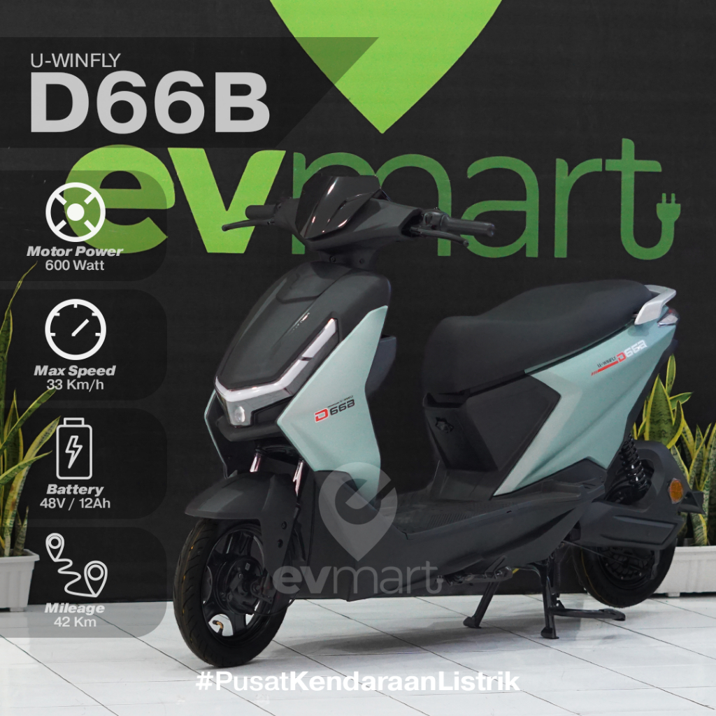 SEPEDA LISTRIK U-WINFLY D66B