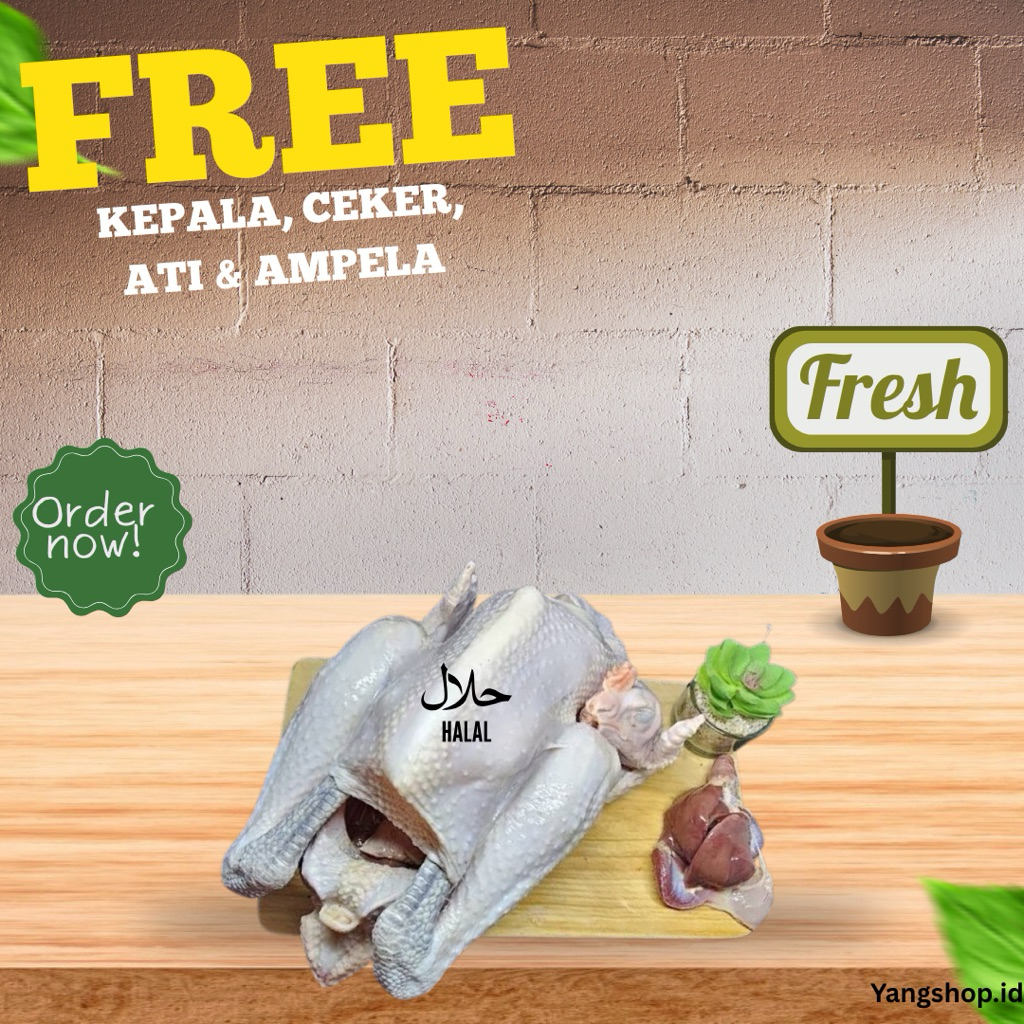 Ayam Kampung Asli Fresh Langsung Potong Setiap Order