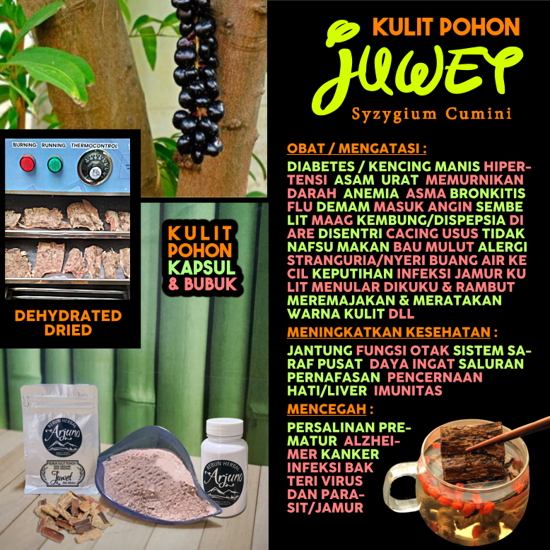 Dehydrated Dried Kulit Pohon Kapsul Bubuk Juwet Duwet Jamblang Obat Diabetes Kencing Manis Anemia Hi