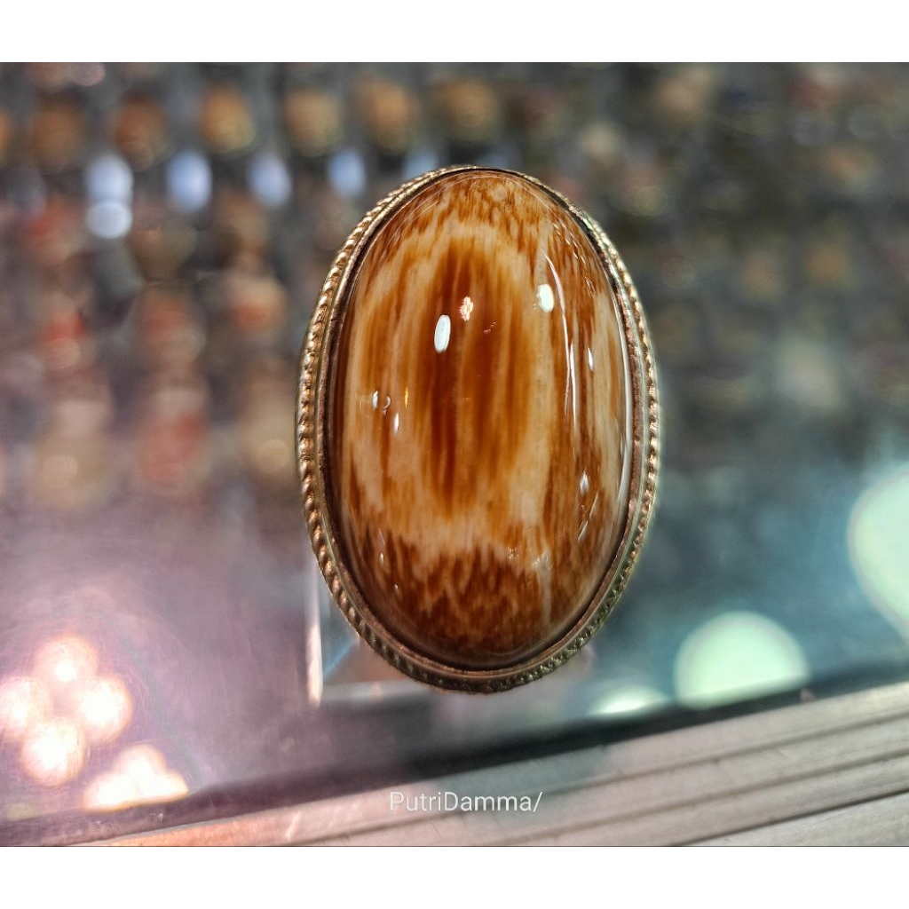 Cincin Fosil kelor/Jumbo(Natural)