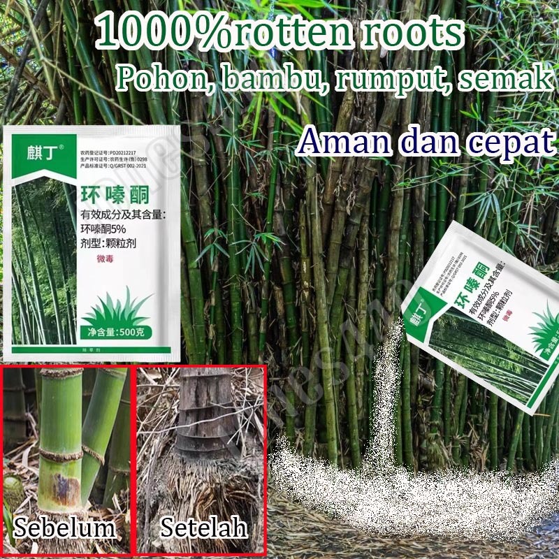 Obat Pembunuh Pohon Besar Racun Pembasmi Rumput Liar Racun Bambu Pembasmi Pohon Besar Ampuh Tree Kil