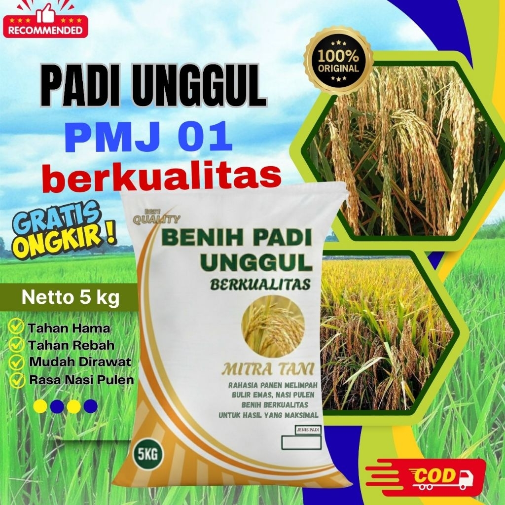 bibit padi pmj 01 kemasan 5kg