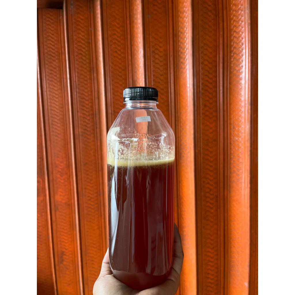 MADU KELULUT TRIGONA ITAMA