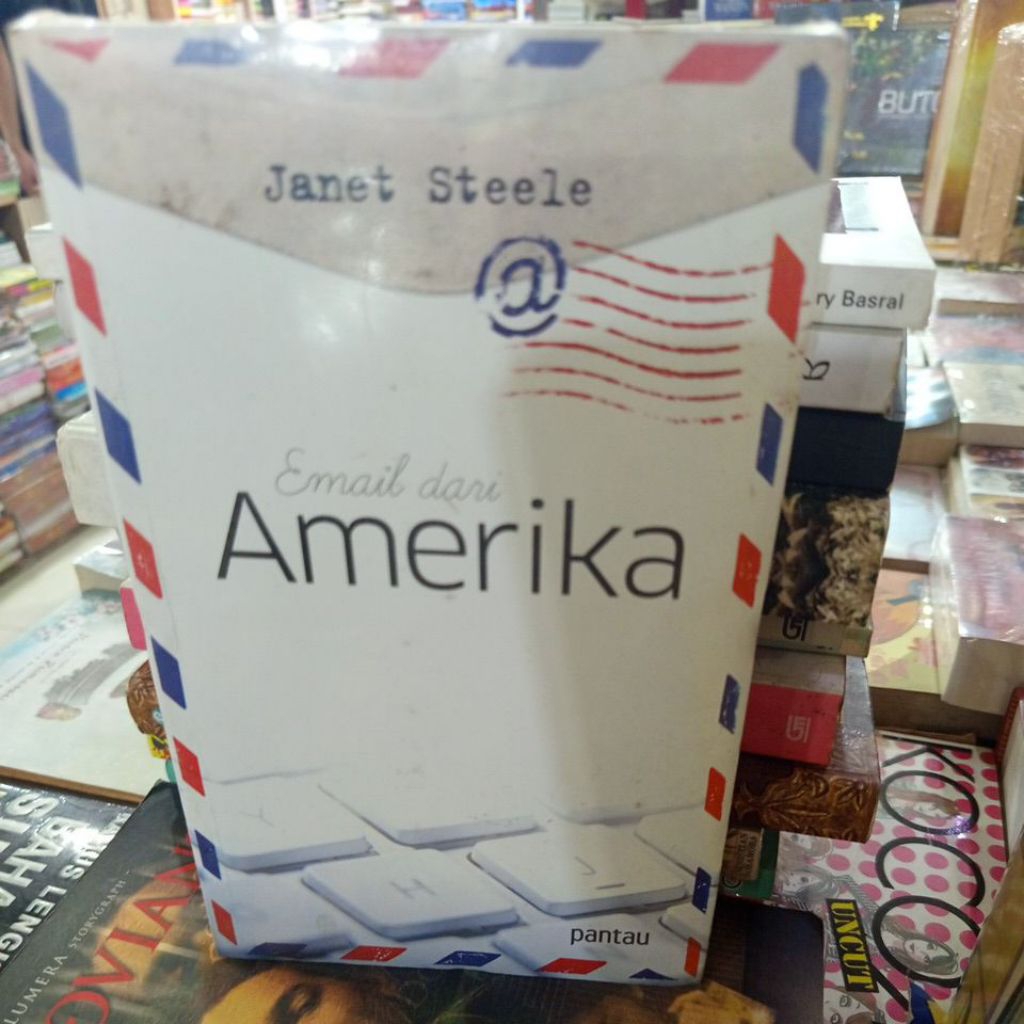 buku novel email dari Amerika Janet Steele pantau buku novel original
