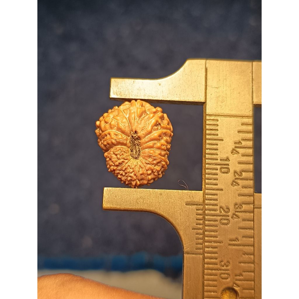 Mukhi 18 big size 18mm