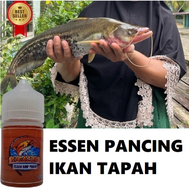 ESSEN PANCING IKAN TAPAH SUPER AMPUH | ESSEN SIGACOR ISI 30ML