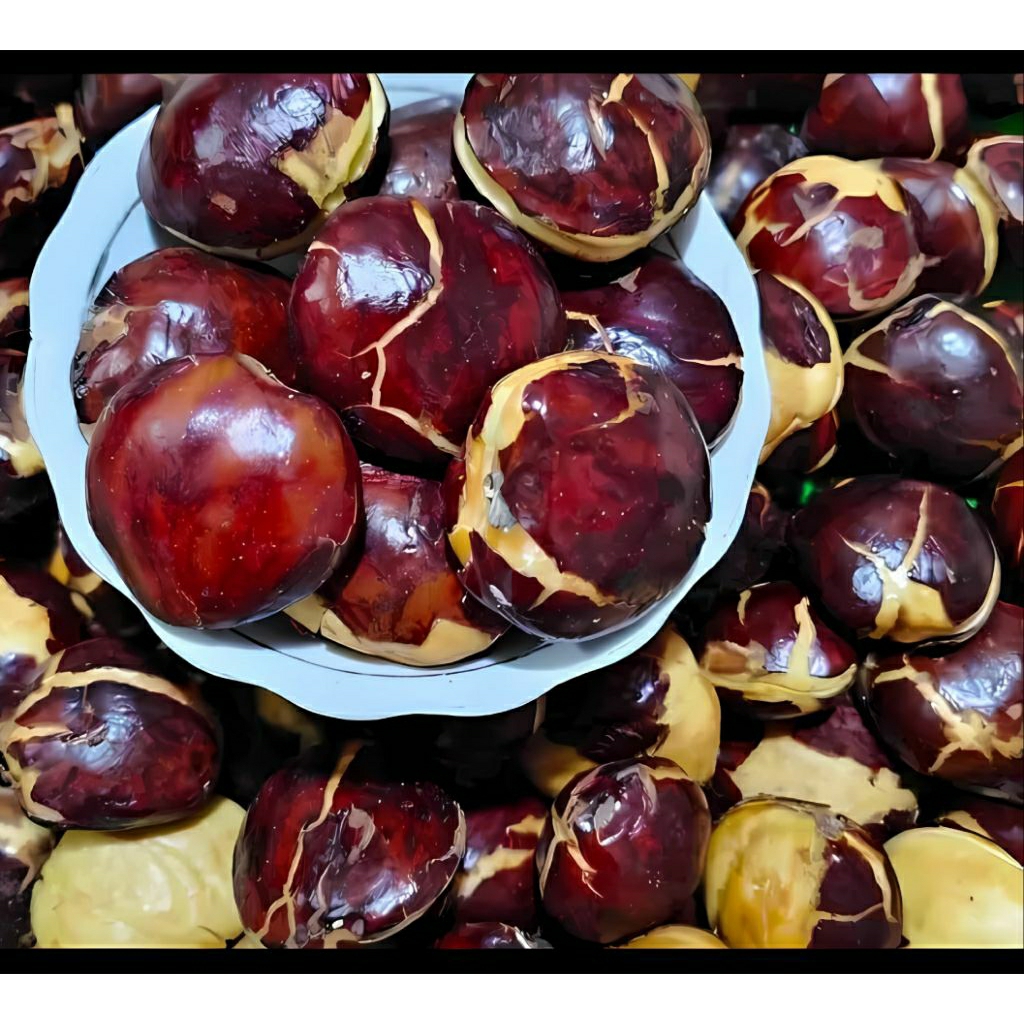 Jengkol Tua / Sepi Super Besar