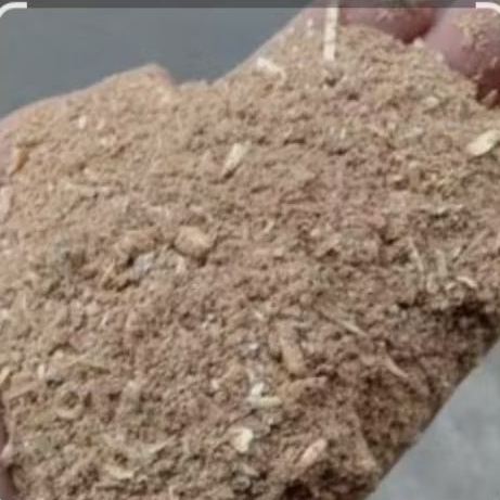 Ampas Gandum Pakan Ternak. Pakan Ternak Murah. Ampas Bir . Ampas Gandum. Pakan Ternak Alternatif. Pa