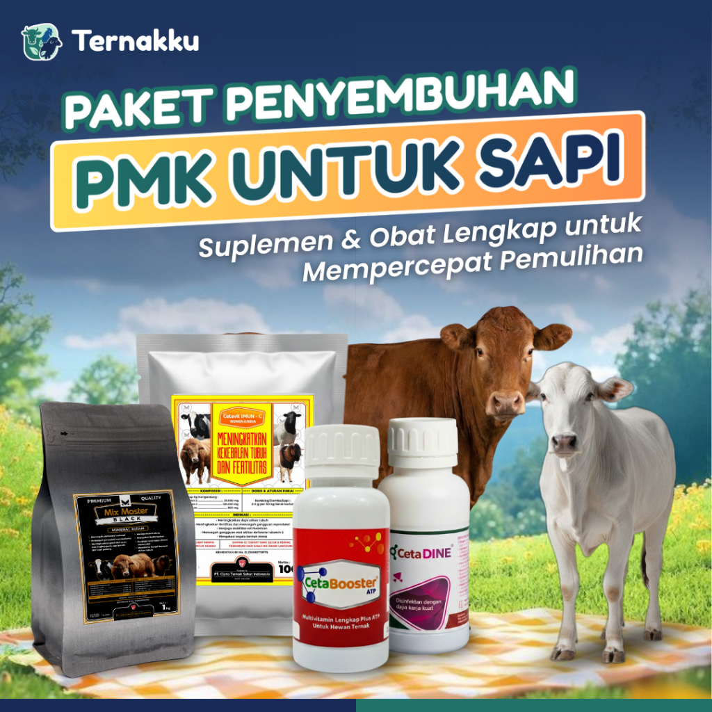 Paket Penyembuhan PMK (Penyakit Mulut dan Kuku) Ternak Sapi