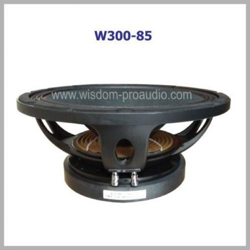 wisdom w300-85