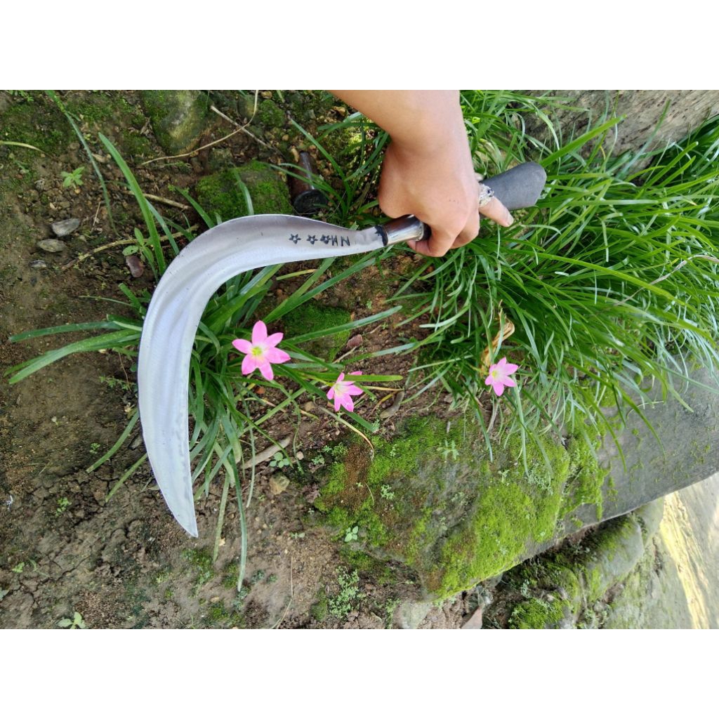 Alat pertanian arit pemangkas cap bintang HN