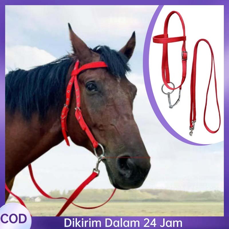 3pcs/1set Tali Kekang Kuda Tahan Lama Tali Lis Kendali Kuda Pacu  Tahan Air Sarung Kendali Kuda