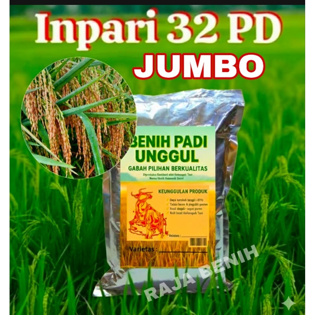 RAJA BENIH KEMASAN 1KG INPARI 32 PD JUMBO BIBIT POKOK PADI SUPER GABAH  BERKUALITAS 12 TON PER HEKTA