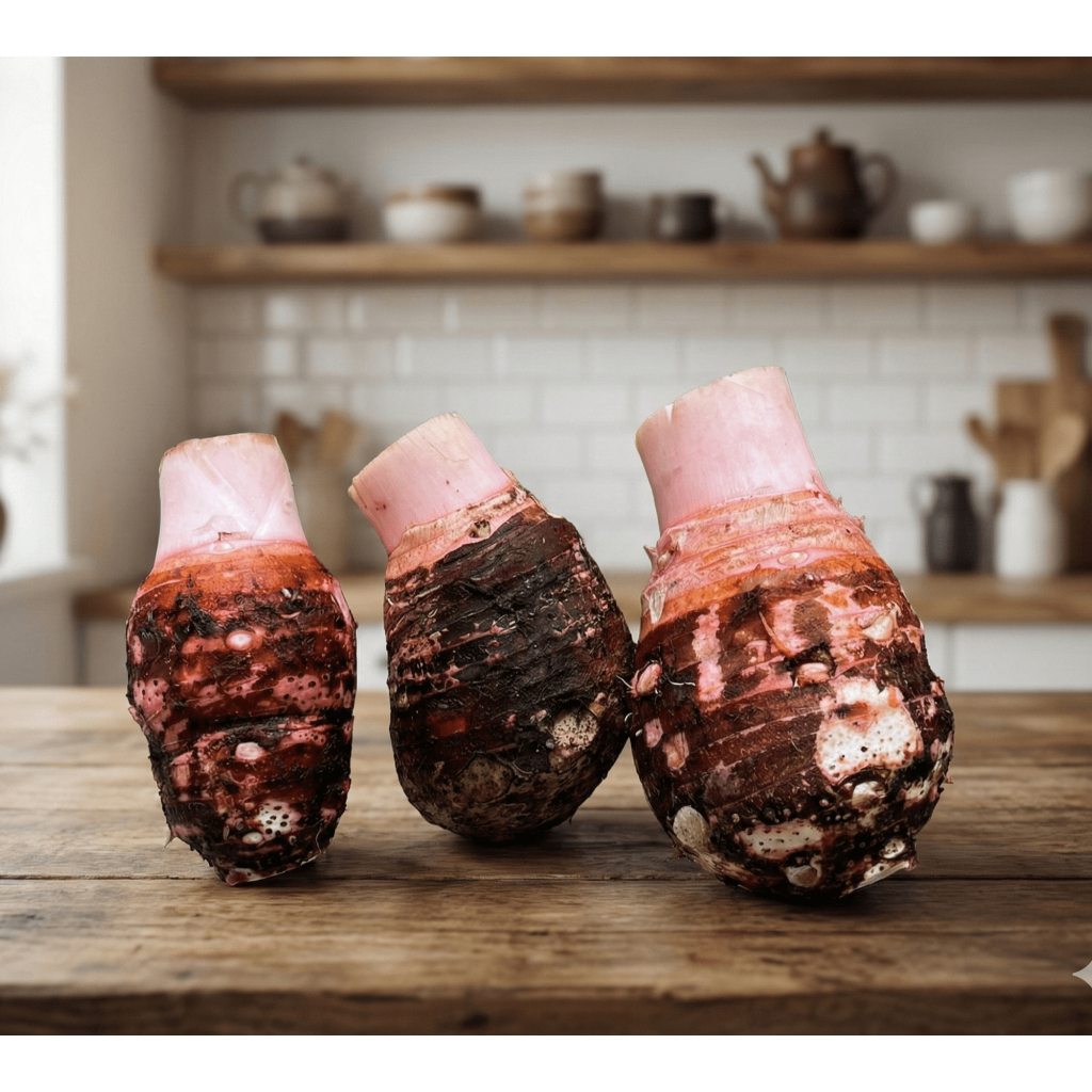 TALAS BOGOR FRESH Mentah Dadakan Dari Kebun Sendiri Enak dan Pulen Ukuran Besar by KUMARISE