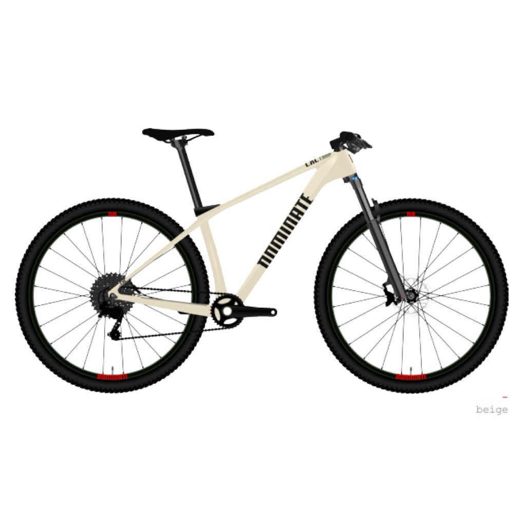 dominate AXC 2 COMP R Deore 12 speed