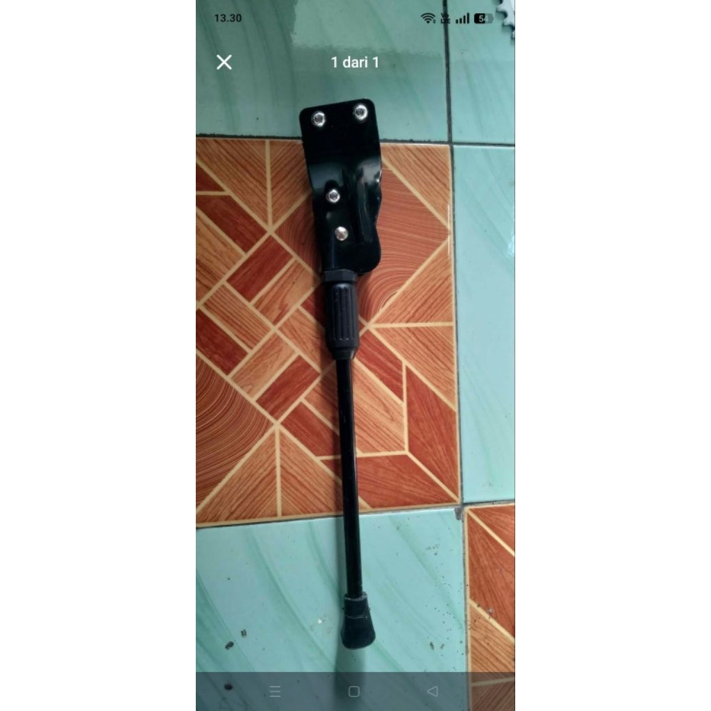 standar polygon xtrada