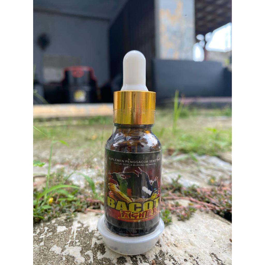Bacot Fighter Vitamin Bikin Burung Fighter Bongkar Isiian