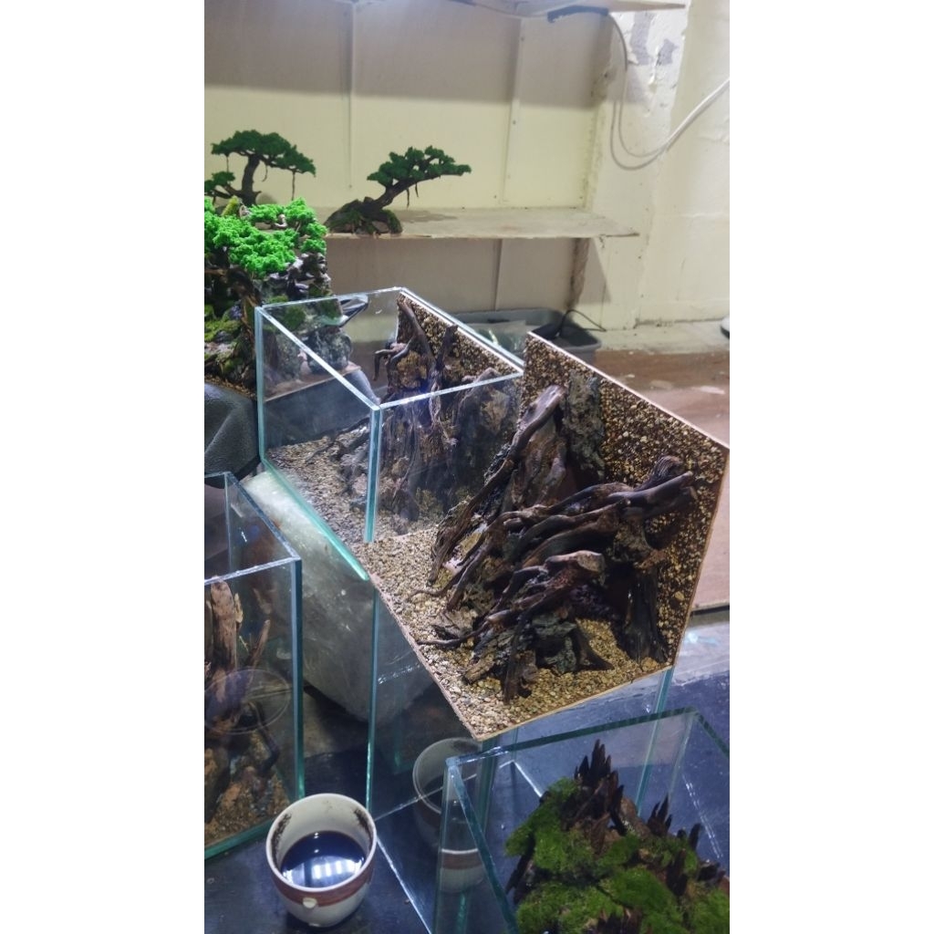 Aquarium ukuran 20x15x15