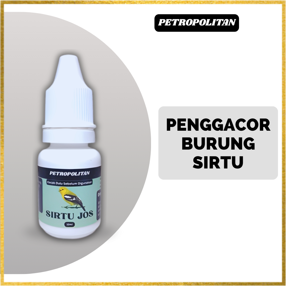 Penggacor Sirtu Cipoh Jos Petropolitan Agar Burung Jadi Gacor Ngeroll Panjang