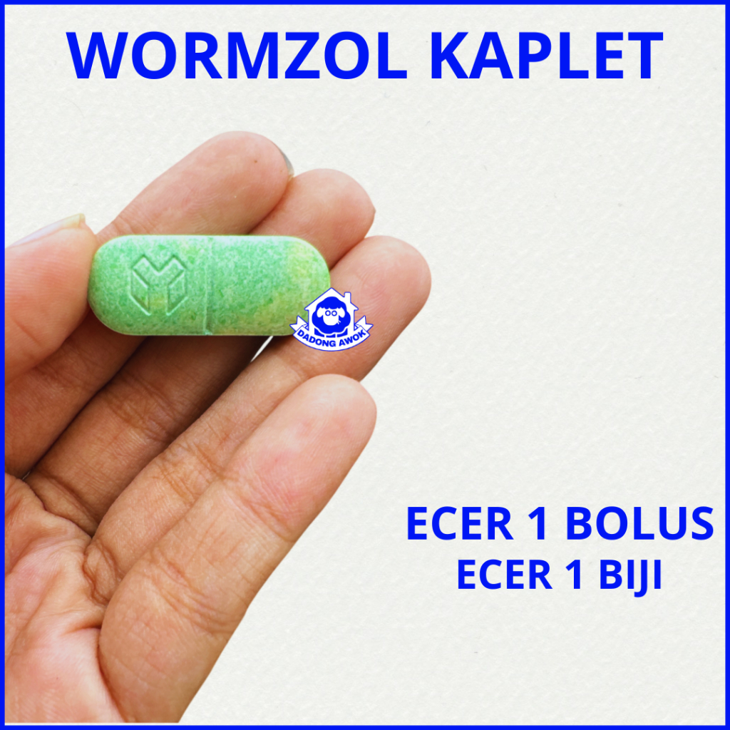 OBAT CACING KAMBING SAPI 1 BOLUS ECERAN - WORMZOL K - WORMZOL B - VERM O - FLUKICIDE - SANBE MEDION