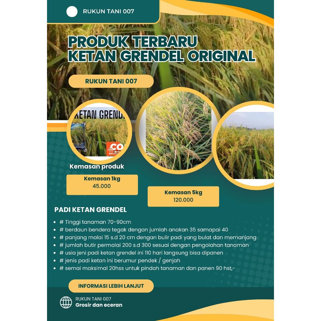 Padi Ketan GRENDEL/KETAN PUTIH TERBARU Kemasan 1 Kg