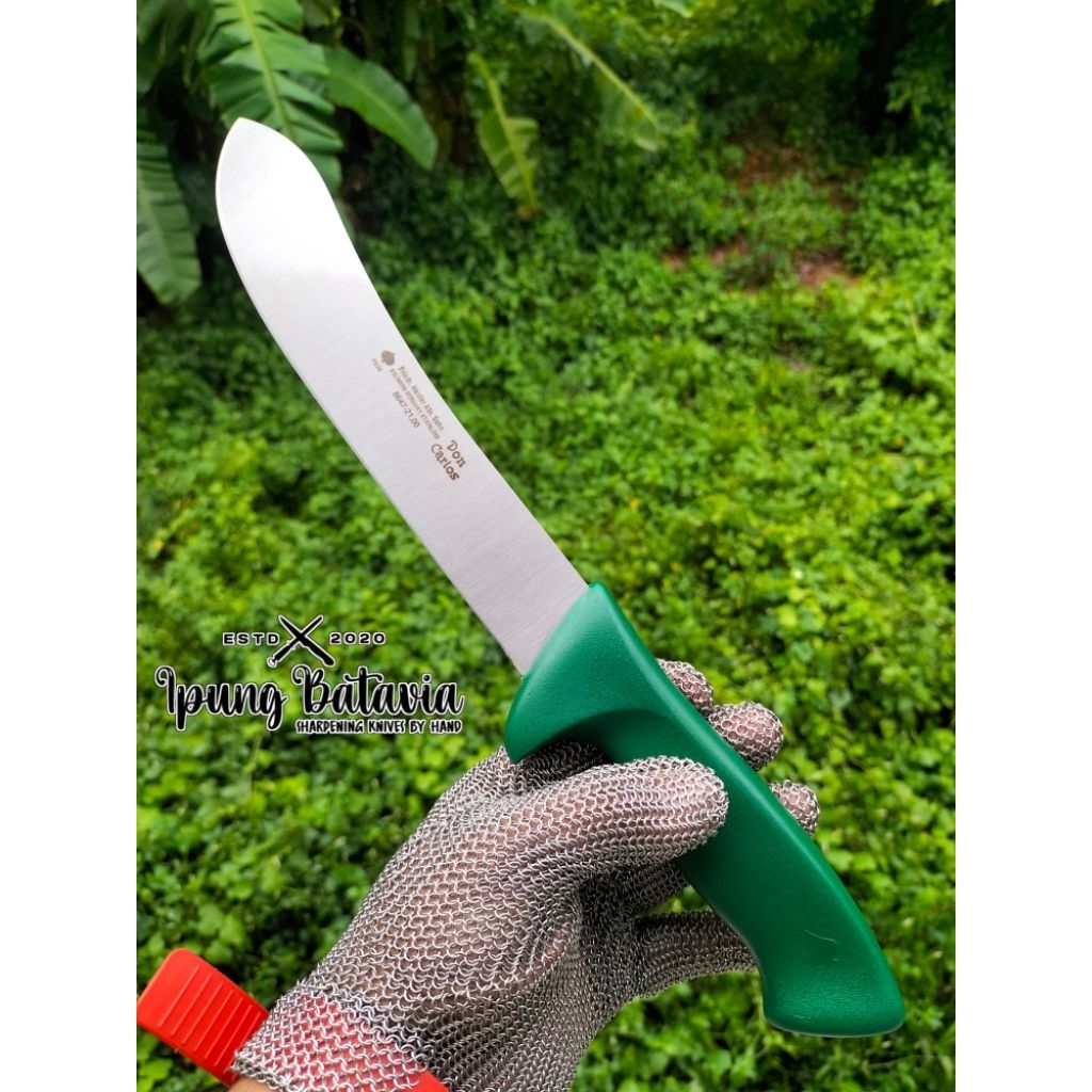 Pisau Sembelih Cap Garpu Bullnose Don Carlos  Bullnose 21cm, Stainless Made in Germany