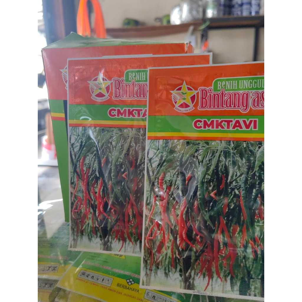 CMKTAVI BINTANG ASIA BENIH CABE KERITING 10g