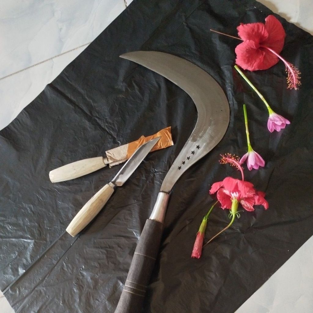 COD Arit Rumput Asli Baja Ori Cap Bintang Lima Alat Berkebun Dan Bertani