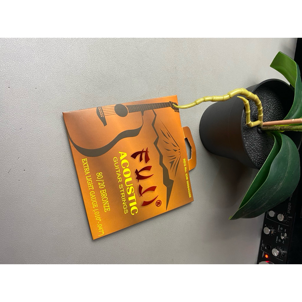 Senar gitar akustik Fuji