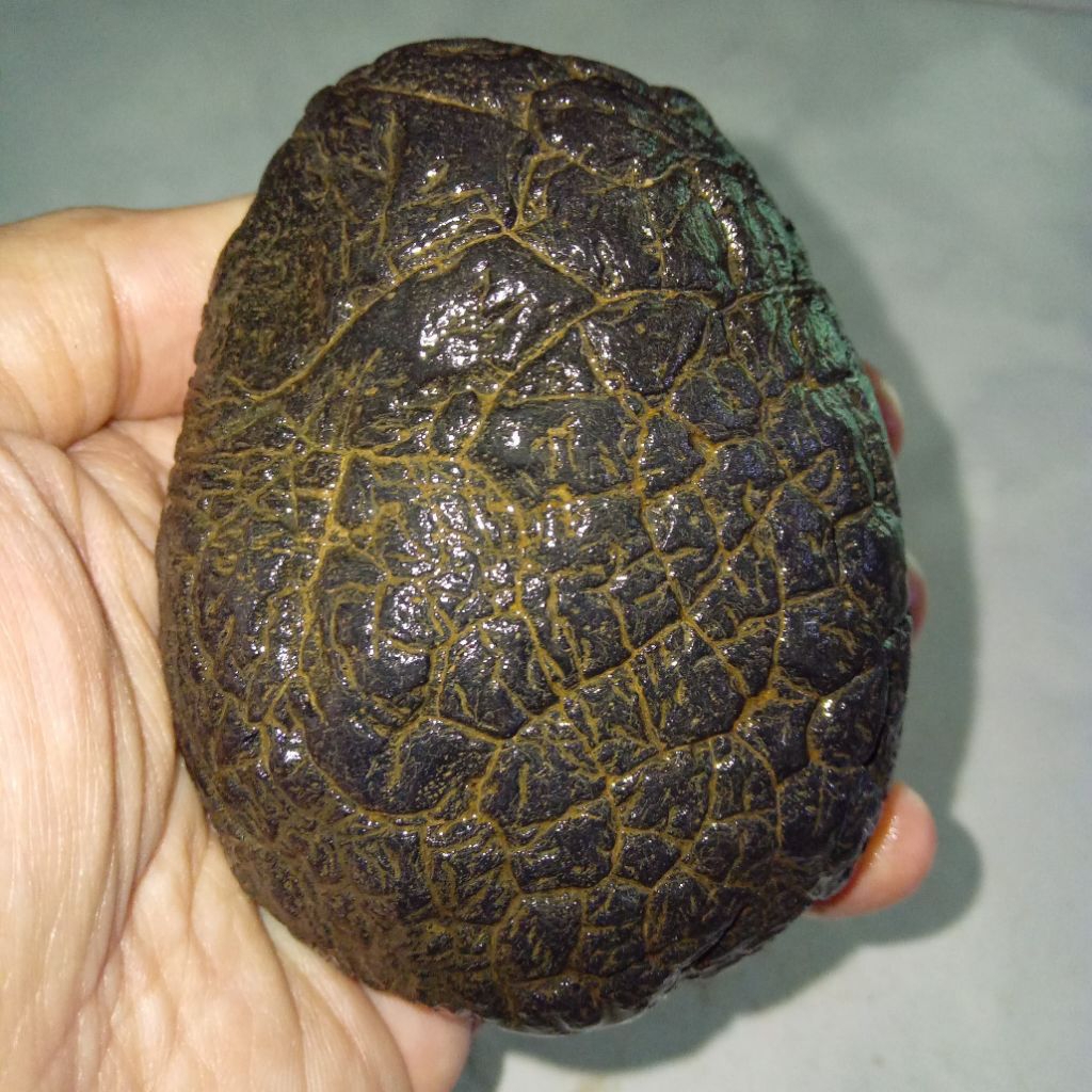 Original Batu Satam Meteorite Big Size / Ukuran Jumbo