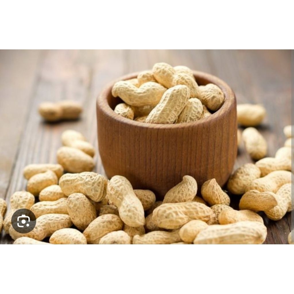 kacang gurih slug 15 gr