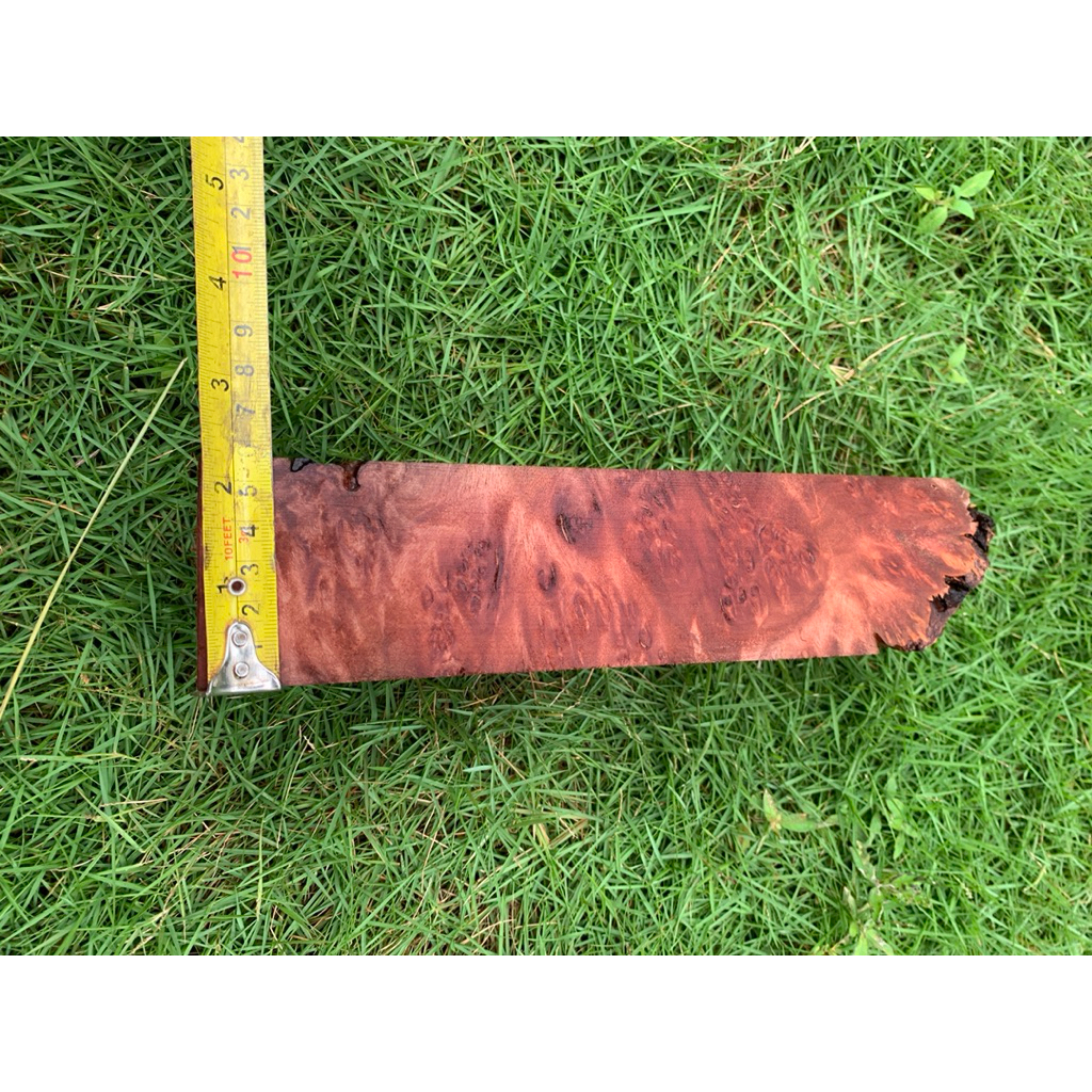 Bloom_Day Kayu Burl Super Merah