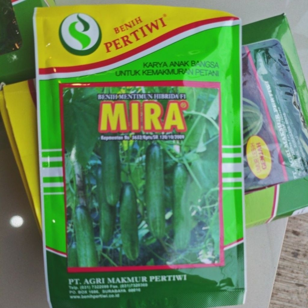 bibit pertiwi timun mira