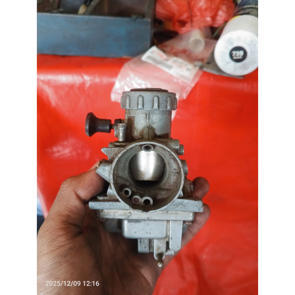 Karbu Rx king copotan