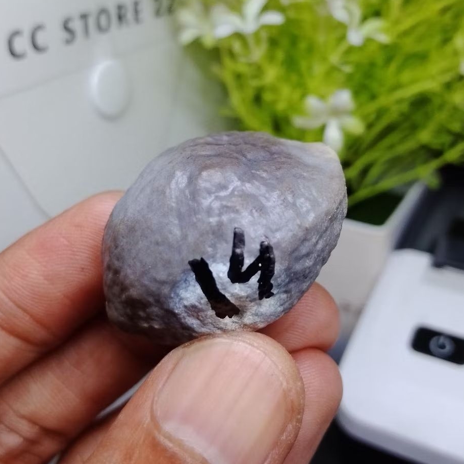 Muncang Adu PAIT Jr Cimaung kode 14