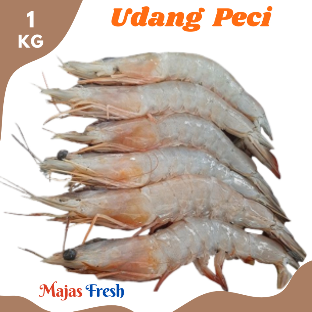 UDANG PECI Besar Segar - Udang Jarbung Peci Fresh | Size Besar - 1.000gr [ Harga Per KG ]