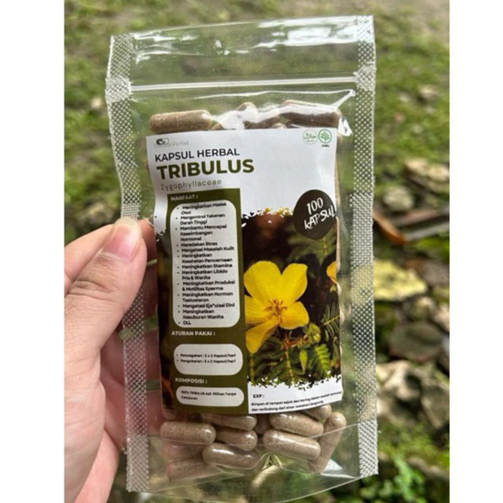 Kapsul Herbal TRIBULUS isi 100 kapsul | Kapsul Sejuta manfaat asli 100% Tribulus Alami
