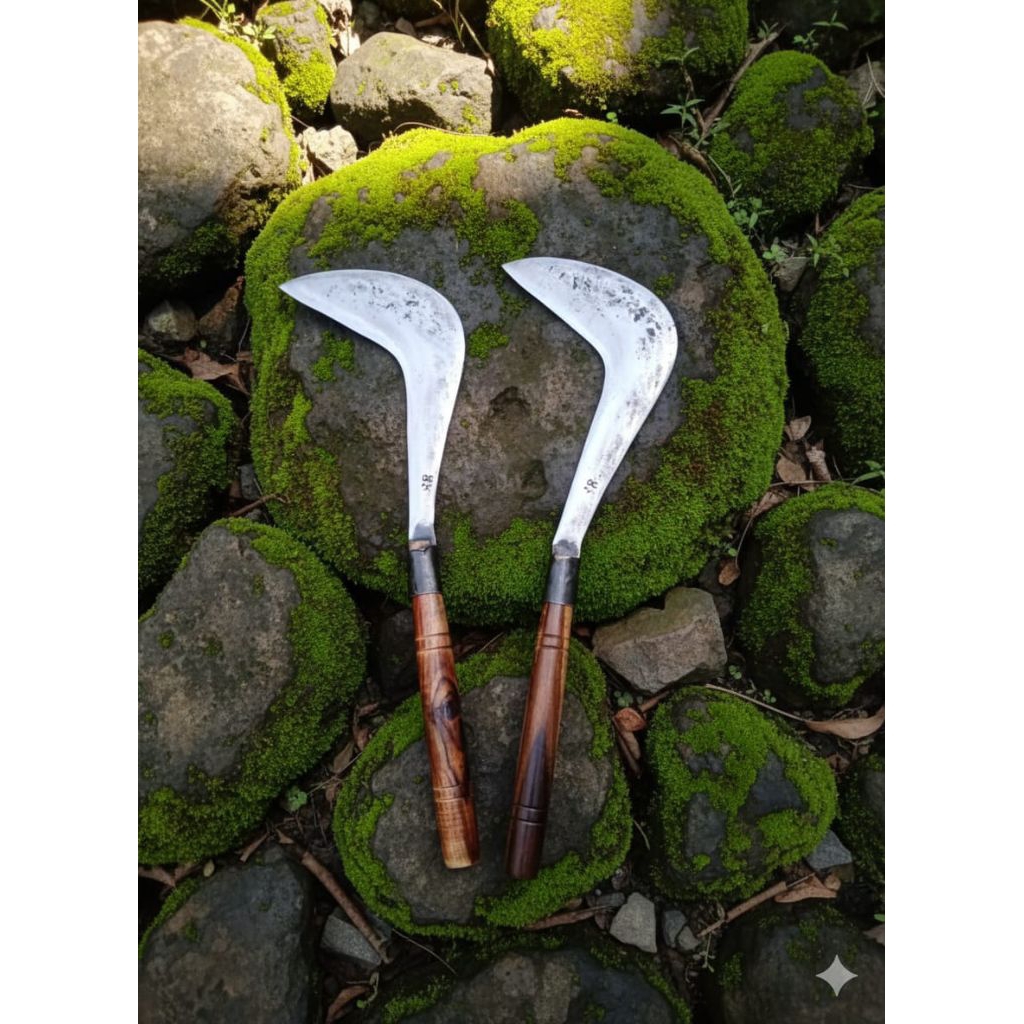 Sabit Congkrang Model(KELONTONG) Sabit Baja Asli / Alat Pertanian untuk Memotong Rumput & Padi Ranti