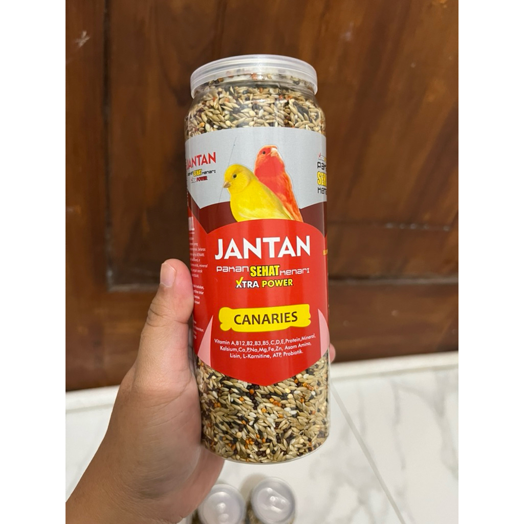 Pakan kenari caroll jantan solusi kenari macet malas kurang stamina pakan gacor kenari