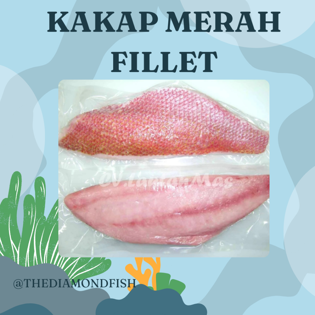 Ikan Kakap Merah Segar 1Kg Ikan Kakap Merah Fillet Daging Ikan Kakap Merah