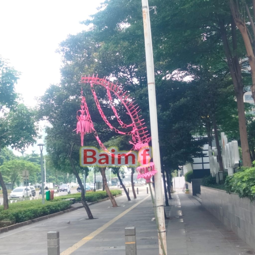 janur pernikahan/janur besar/janur custom warna/janur