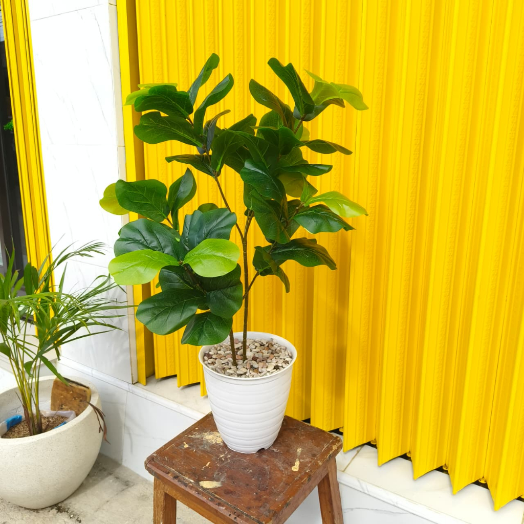 POHON KETAPANG BIOLA/BUNGA HIAS/BUNGA PLASTIK/TANAMAN HIAS