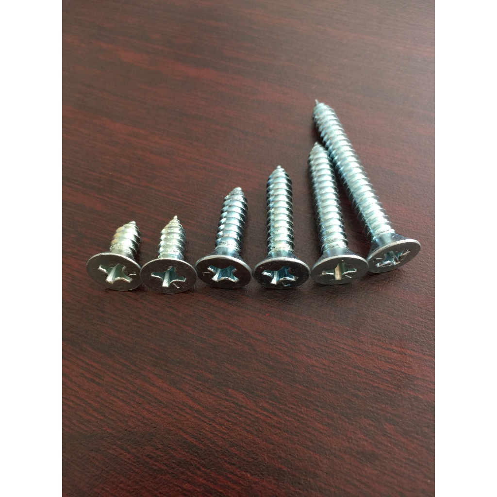 (100 PCS) Sekrup FH 10x1/2" / Self Tapping Screw FH 10 / Skrup FH 10x1/2" / FH #10x1/2" LION